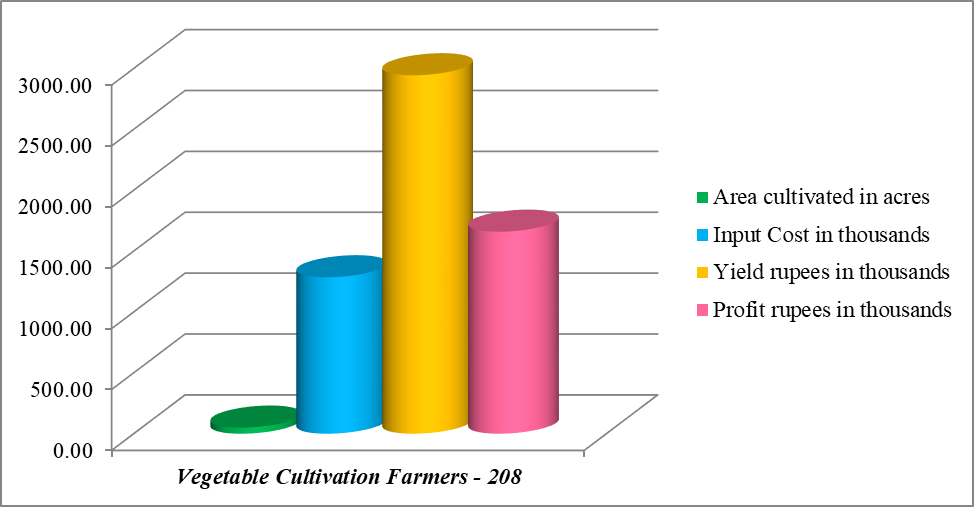 Vegetables Cultivation