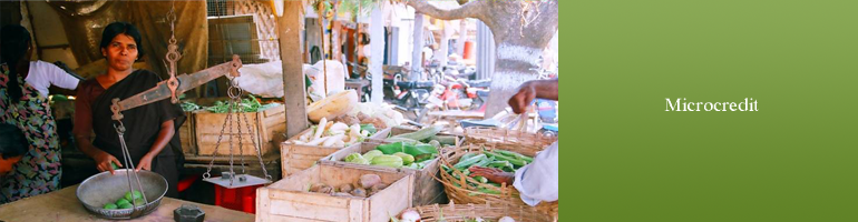 Micro Credit