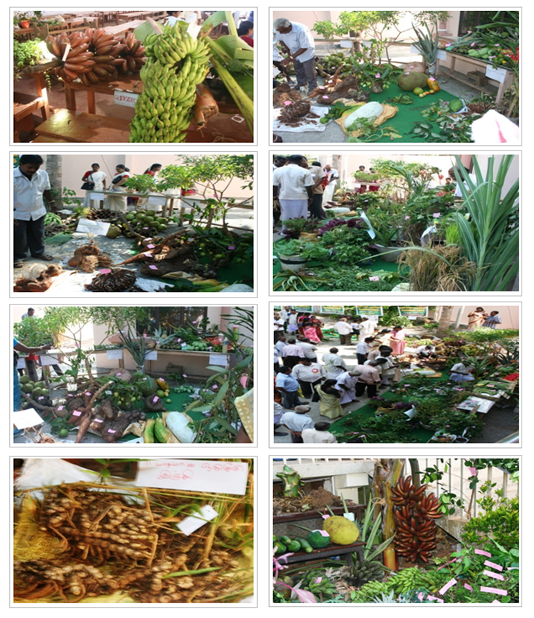 Organic Agriculture Exhibition